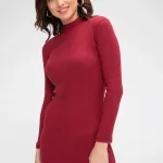 Kadın Bordo Mini Elbise IM-5501