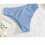 Mavi Fitilli Yüksek Bel Bikini Altı MS41698