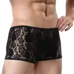 Siyah Fantezi Seksi Transparan Dantelli Erkek Boxer BC4612