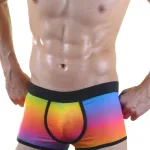 Deluxerie Boxer da Uomo Calvin